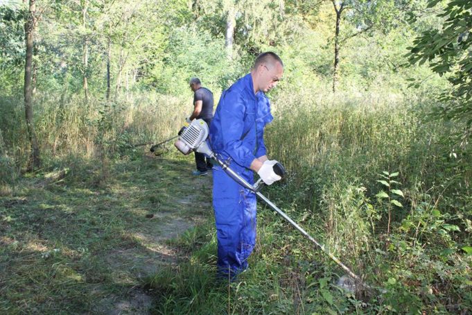 Толока на дачі Патона