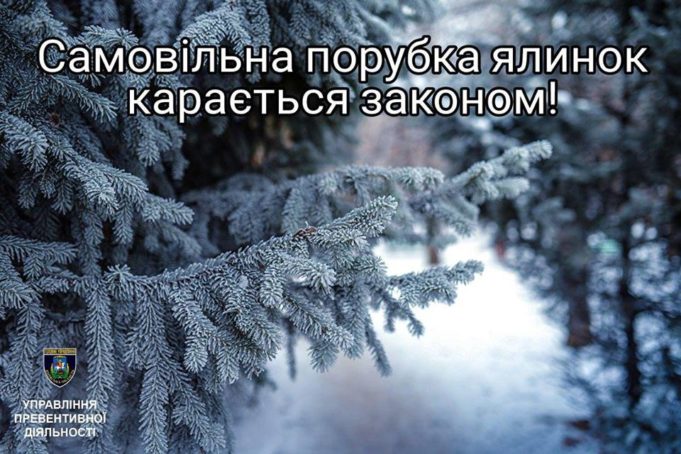 Операція "Новорічна ялинка" на Київщині