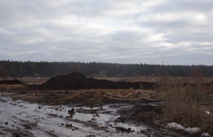 Палала ірпінська заплава: спритники організували підпали, щоб прискорити забудову цієї території?