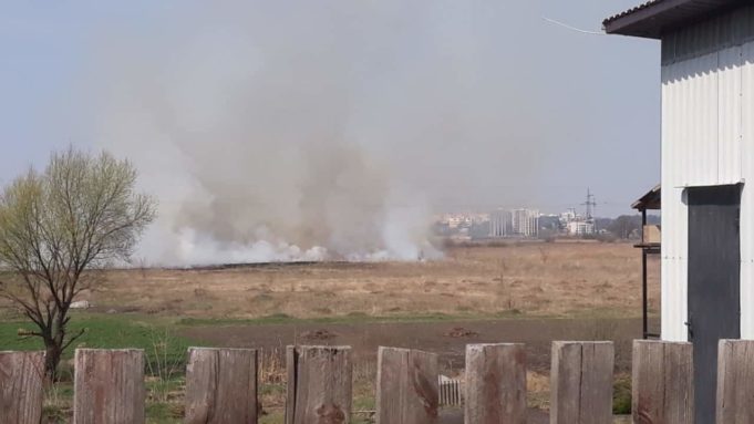 Загоряння сухої трави на заплавних землях річки Ірпінь