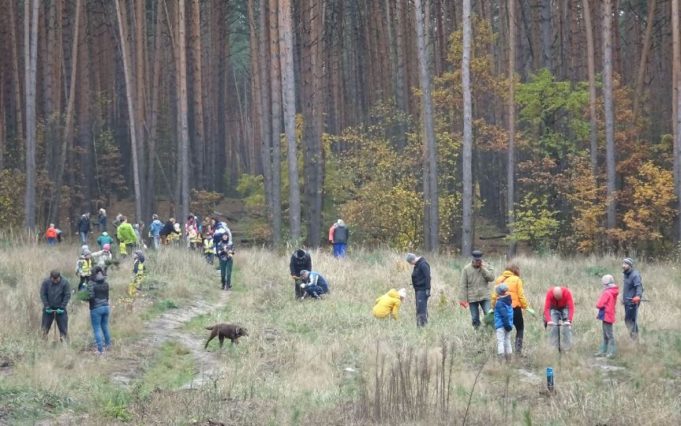 Зелений десант: жителі Ірпеня допомогли лісничим висадити майже 4 тисячі саджанців сосни