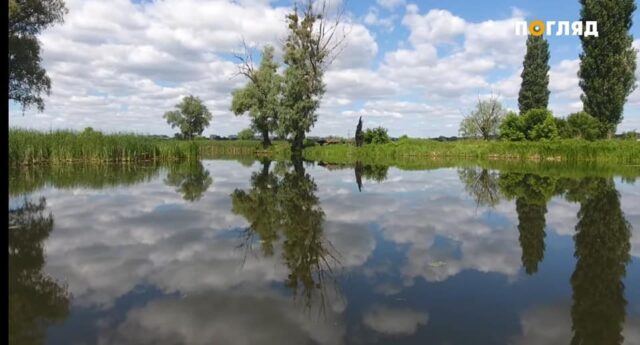 Чому не можна забудовувати заплаву річки Ірпінь – частину Смарагдової мережі Європи