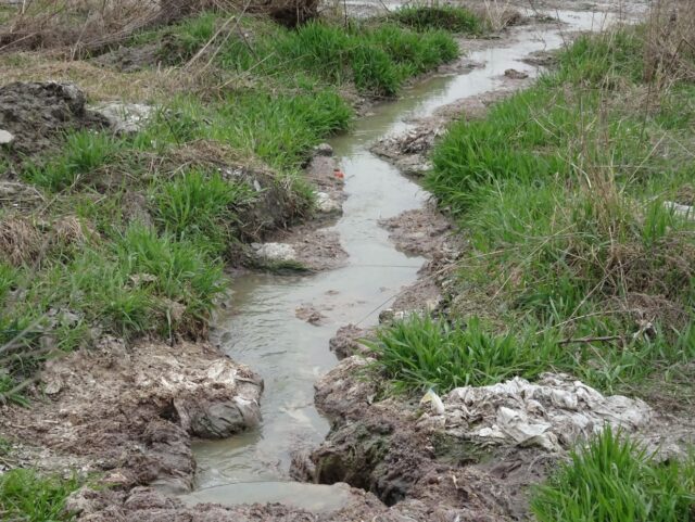 Прищемили хвоста: суд зупинив будівництво ЖК River port, який зводить фірма екс-мера Ірпеня Карплюка