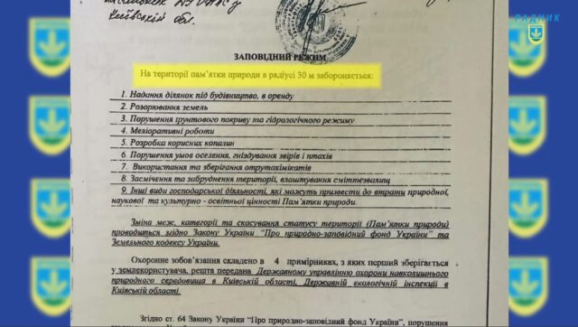 Співак нищить Прадуба: бізнеспартнер екс-мера Ірпеня Карплюка мостить незаконну споруду впритул до 600-річного дерева