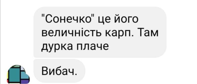 Бізнесінтереси Сонечка та бюджет-2025: екс-мер Ірпеня Карплюк вчергове бере громаду в заручники