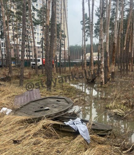 Насичений тиждень: нагороди для добровольців, стоки у лісі та реклама заплавного аквапарку